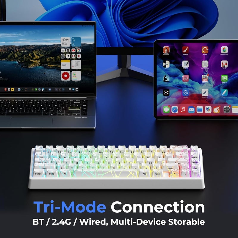 HITIME x XVX M67 Wireless 60% Percent Keyboard, QMK/VIA Gaming Keyboard, Tri-Mode Thocky Creamy Mechanical Key Board, Hot Swappable Gasket Mount RGB IMD Tech for Win/Mac, Spider Web Theme, White - Image 3